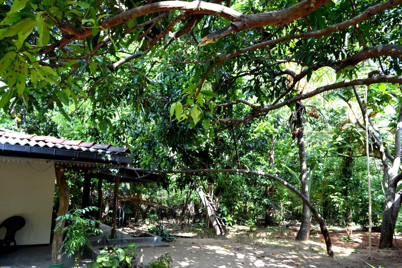 Sigiriya Freedom Lodge Dambulla Exterior photo