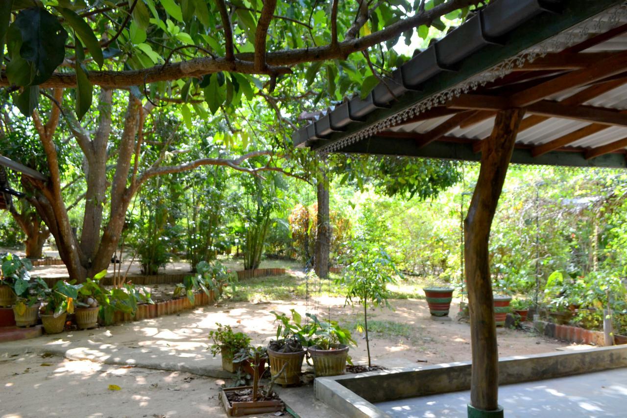 Sigiriya Freedom Lodge Dambulla Exterior photo
