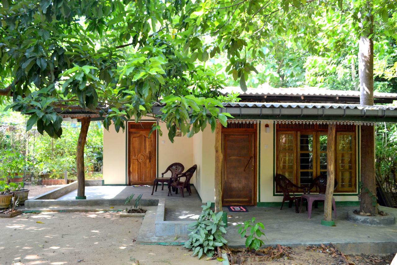 Sigiriya Freedom Lodge Dambulla Exterior photo
